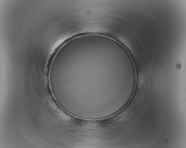 X0000113111071200909111110