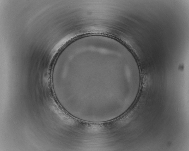 X0000113111074200909111110