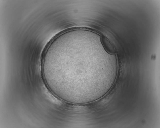 X0000113111076200909111110