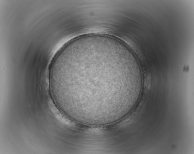 X0000113111078200909111110