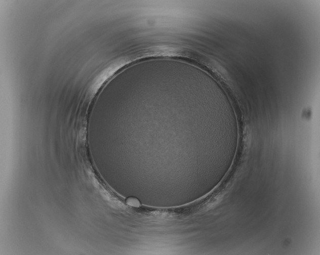 X0000113111081200909111109