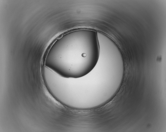 X0000113111084200909111109