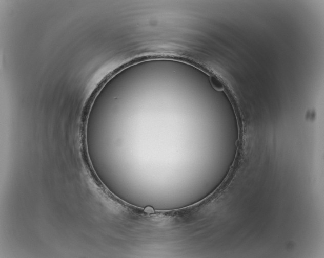 X0000113111085200909111109