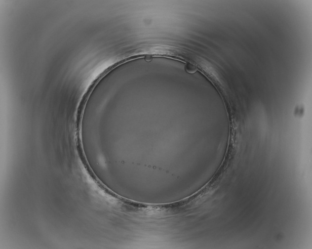 X0000113111087200909111109