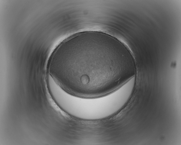 X0000113111088200909111109