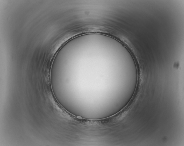 X0000113111089200909111109