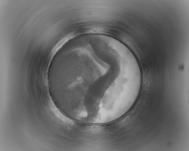 X0000113111090200909111109