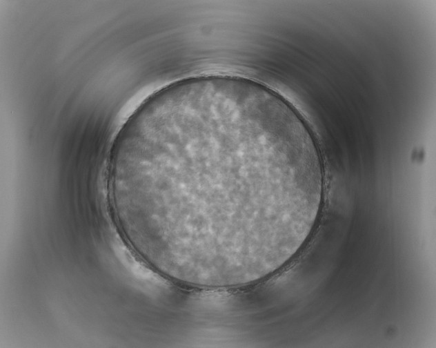 X0000113111094200909111109