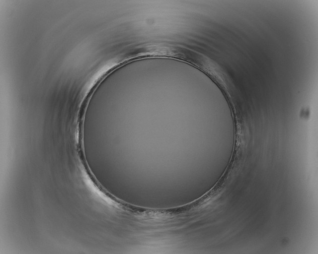 X0000113111095200909111109