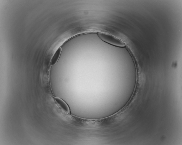 X0000113111097200909111109