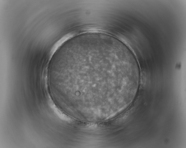 X0000113111098200909111109
