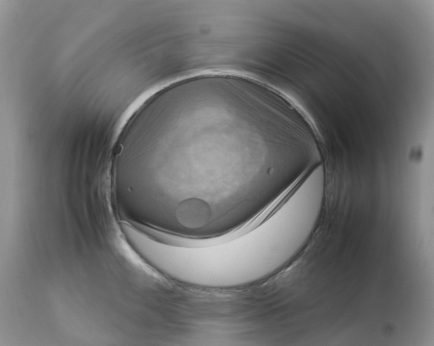 X0000113111100200909111109