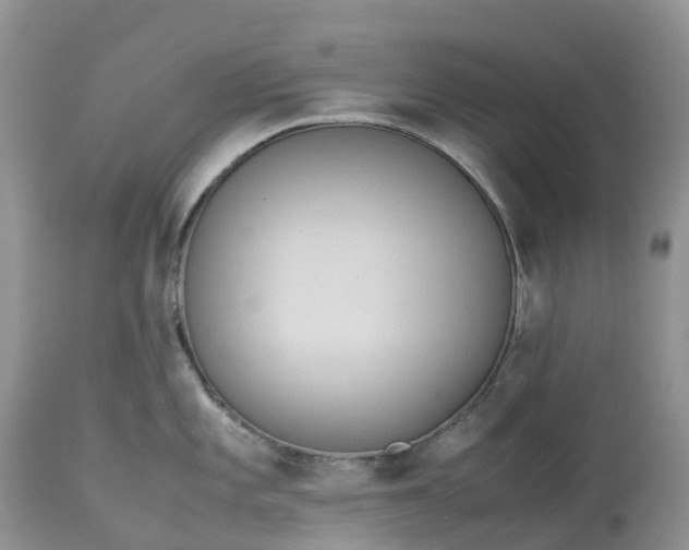 X0000113111101200909111109