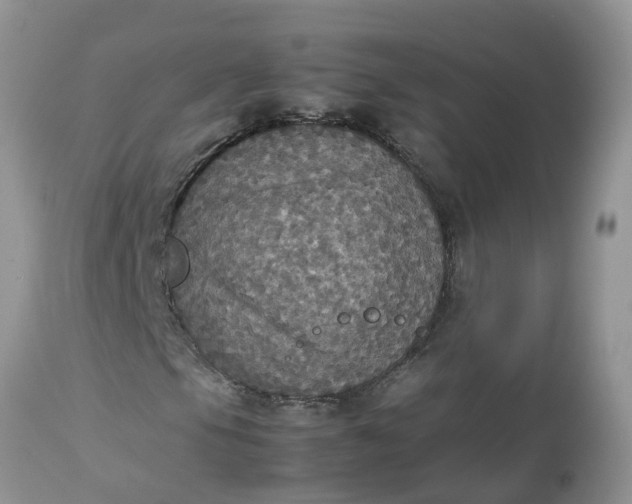 X0000113111105200909111109