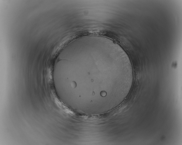 X0000113111106200909111109