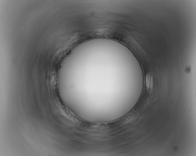 X0000113111107200909111109