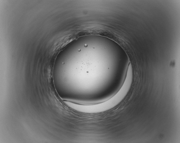 X0000113111108200909111109