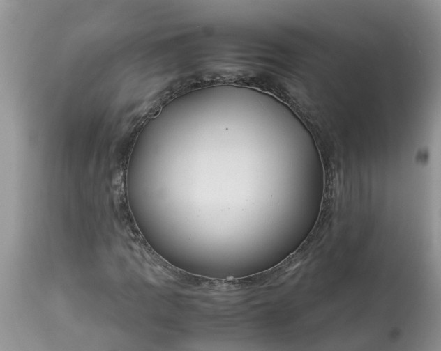 X0000113111109200909111109