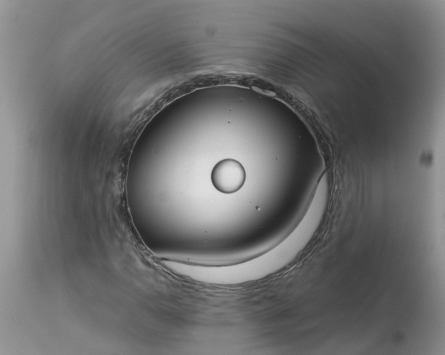 X0000113111110200909111109