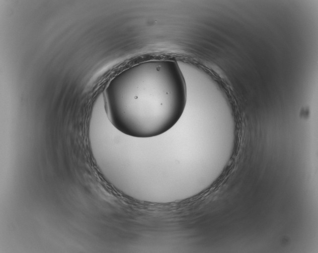 X0000113111112200909111109