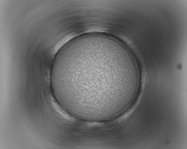 X0000113111113200909111109