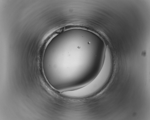X0000113111114200909111109