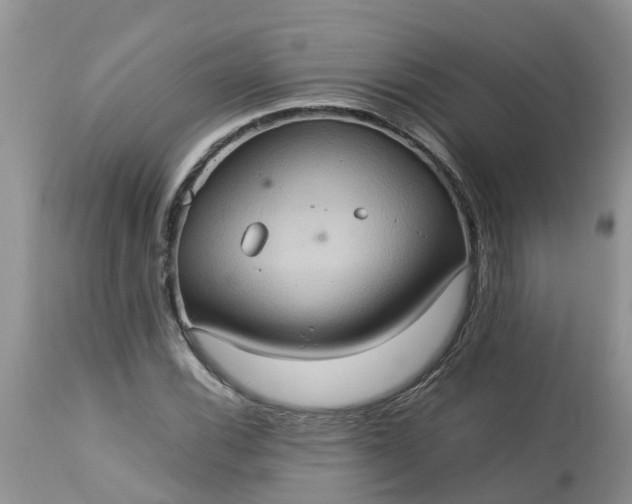 X0000113111116200909111109