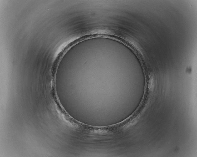 X0000113111117200909111109