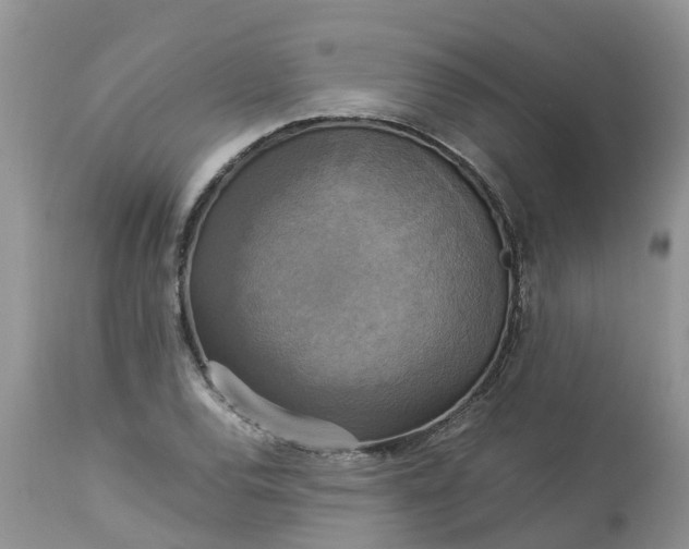 X0000113111120200909111109