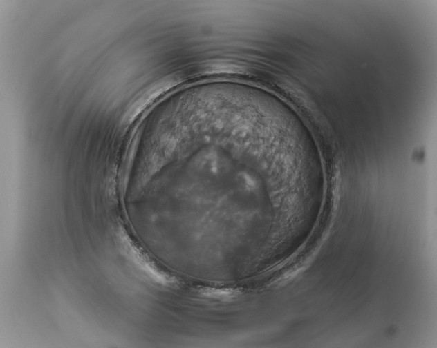 X0000113111121200909111109