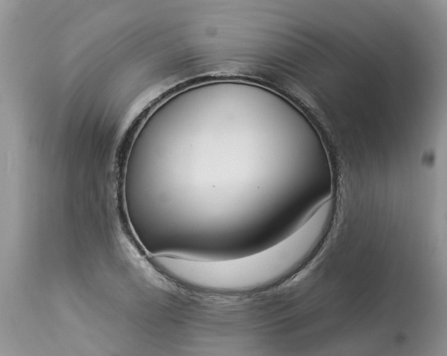 X0000113111122200909111109