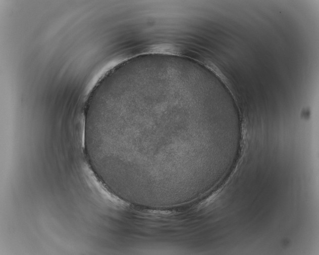 X0000113111123200909111109