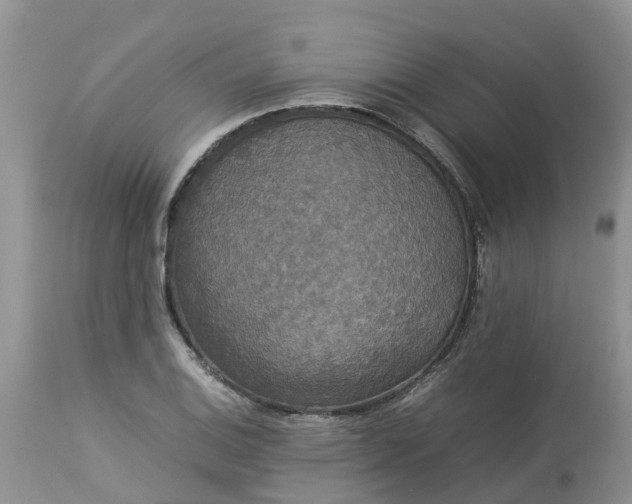 X0000113111124200909111109