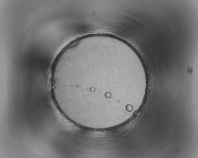 X0000113111126200909111109