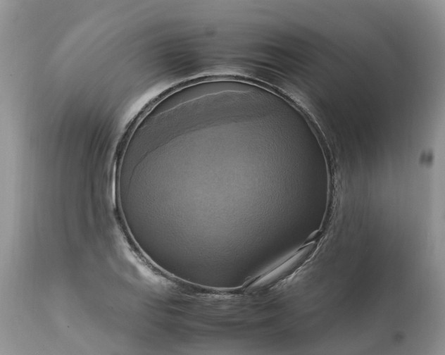 X0000113111127200909111109