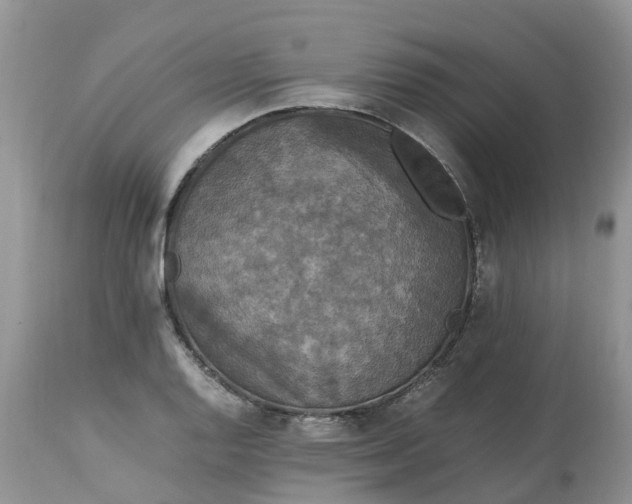 X0000113111128200909111109