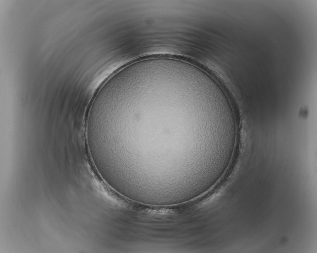 X0000113111129200909111109