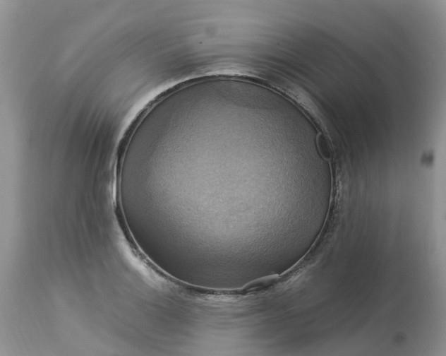 X0000113111132200909111109