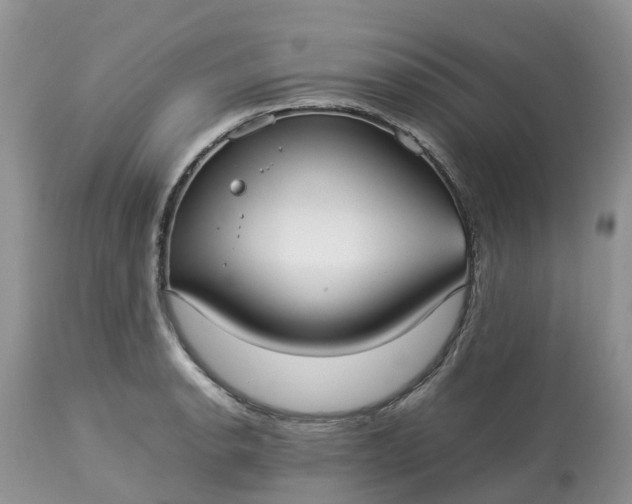 X0000113111134200909111109