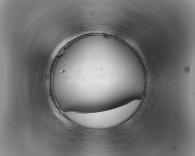 X0000113111136200909111109
