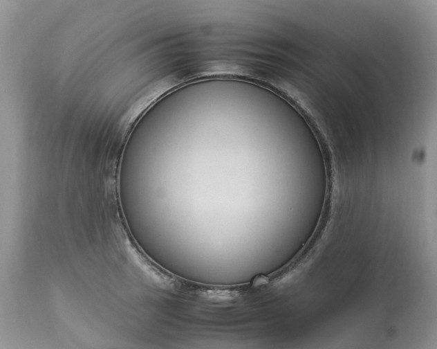 X0000113111137200909111109