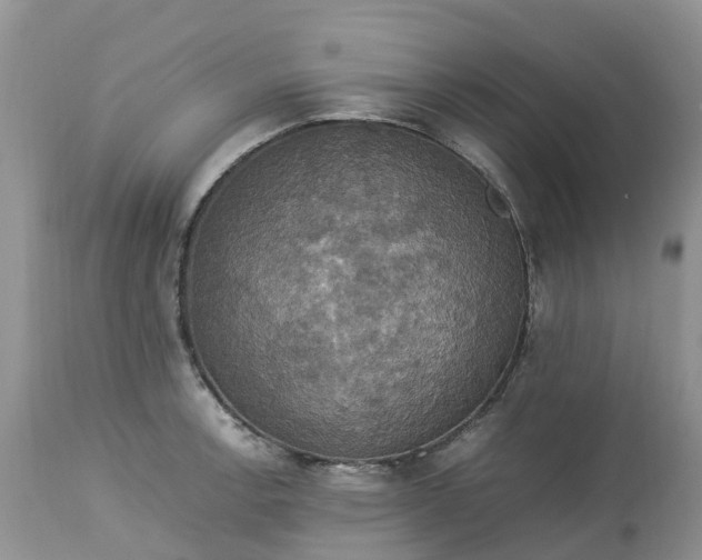 X0000113111138200909111109