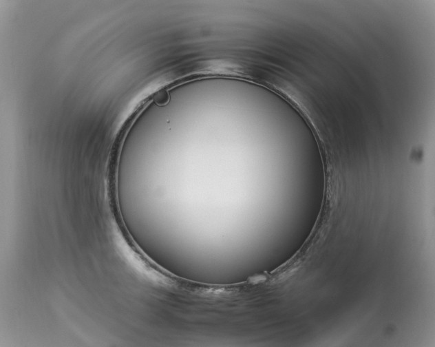 X0000113111139200909111109