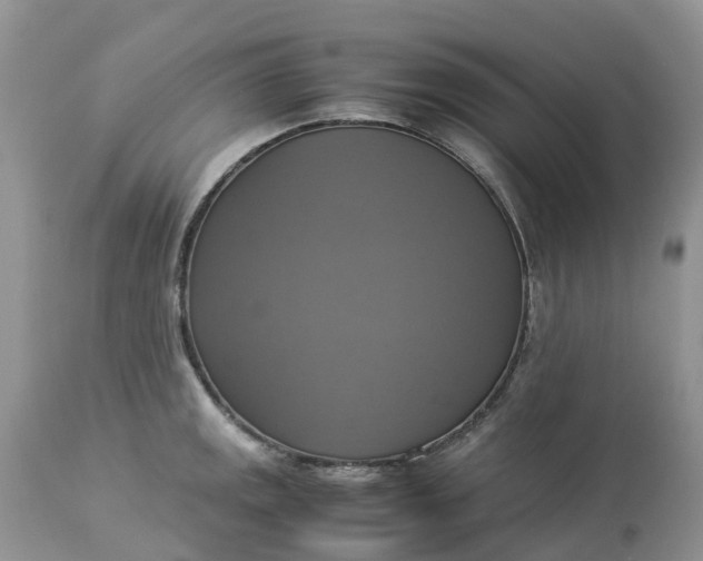 X0000113111141200909111109