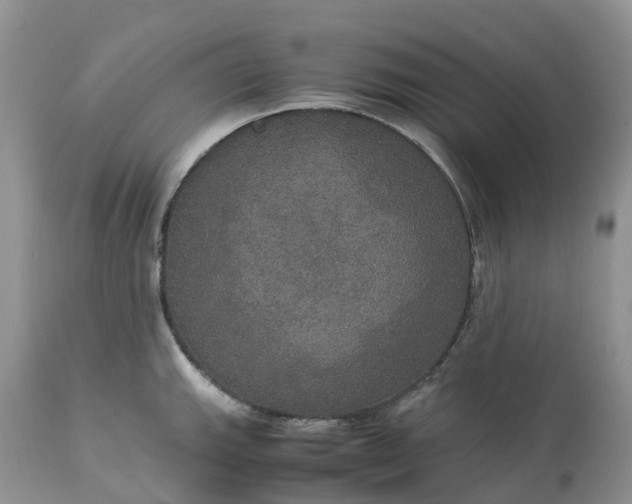 X0000113111143200909111109