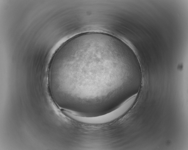X0000113111144200909111109