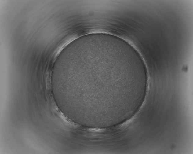X0000113111145200909111109