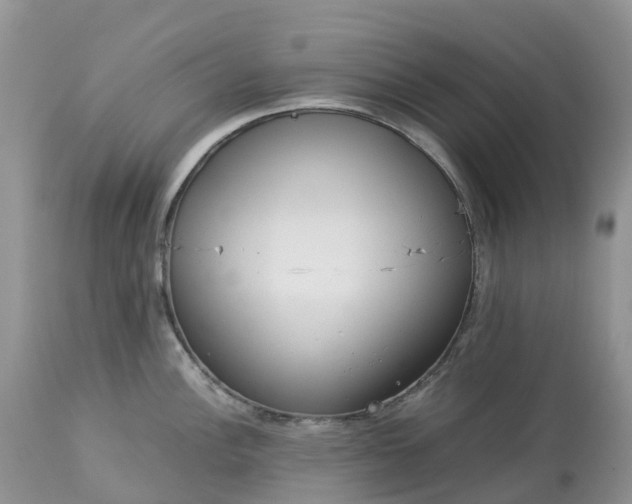 X0000113111148200909111109