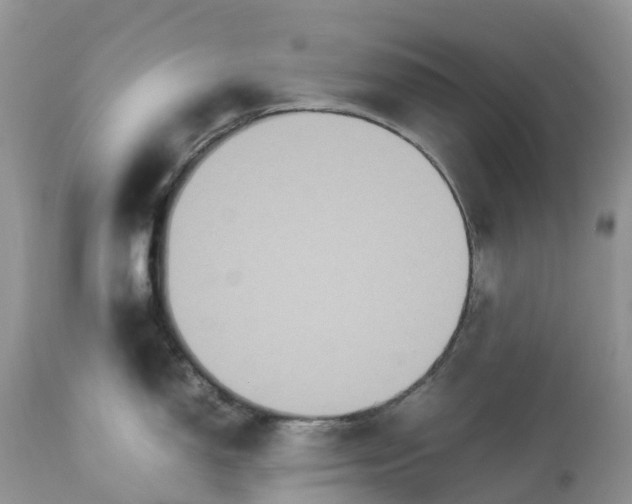 X0000113111150200909111109