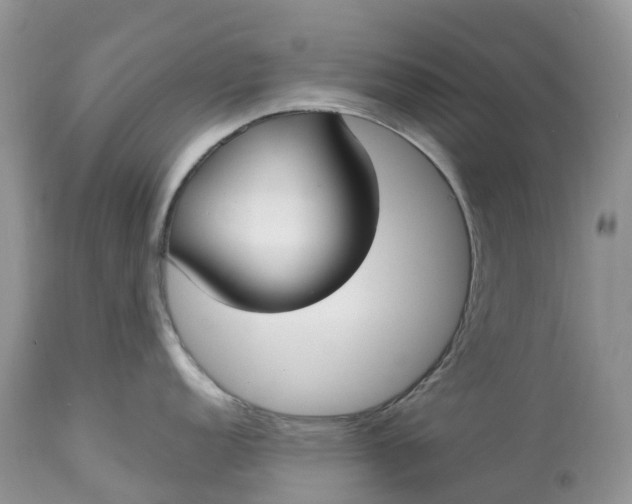 X0000113111152200909111109